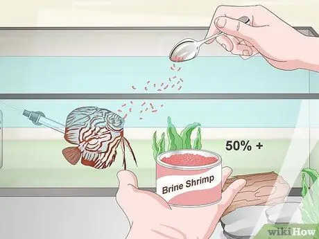 Keep Discus Шаг 9 Keep Discus Шаг 9