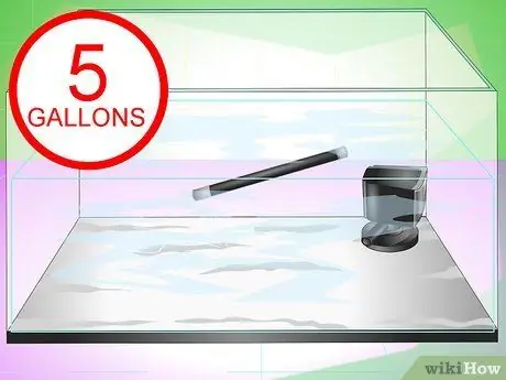 Счастливой бойцовой рыбки, шаг 6 Счастливой бойцовой рыбки, шаг 6