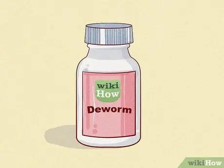 Deworm a Puppy Шаг 3 Deworm a Puppy Шаг 3