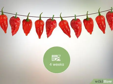 Сухой призрачный перец Шаг 16 Сухой призрачный перец Шаг 16