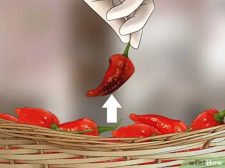 Сухой призрачный перец Шаг 8 Сухой призрачный перец Шаг 8