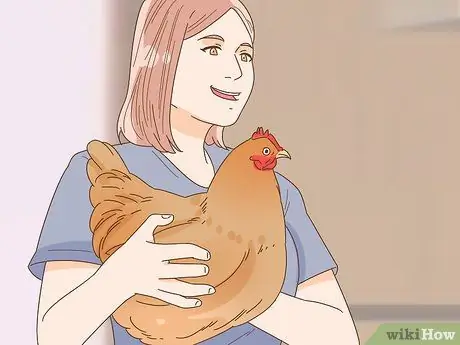 Приручить курицу Шаг 10