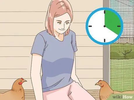 Приручить курицу Шаг 6