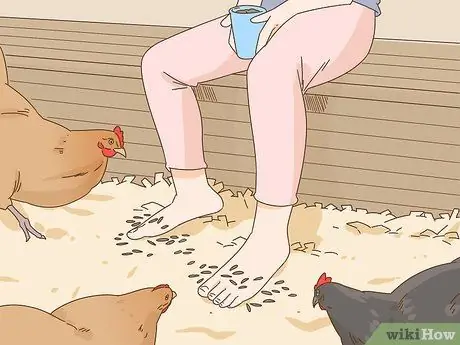 Приручить курицу Шаг 7