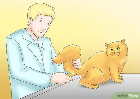 Уход за кошкой с почечной недостаточностью Шаг 12