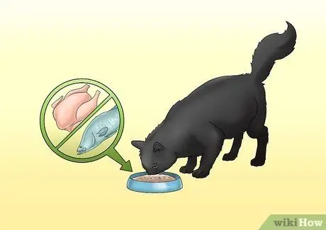 Уход за кошкой с почечной недостаточностью Шаг 2
