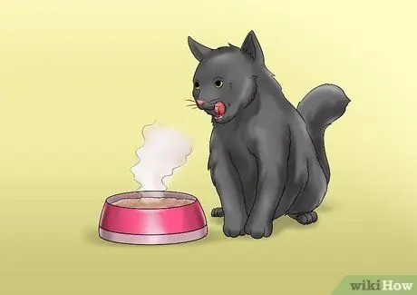 Уход за кошкой с почечной недостаточностью Шаг 3