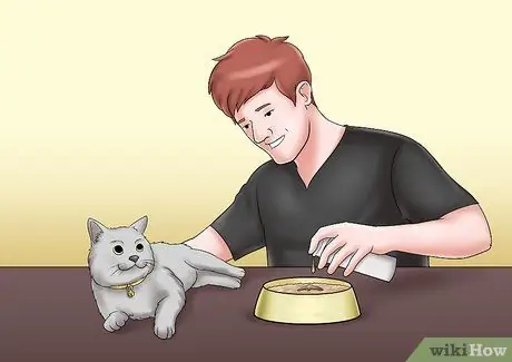 Уход за кошкой с почечной недостаточностью Шаг 4