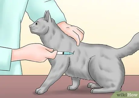 Уход за кошкой с почечной недостаточностью Шаг 7
