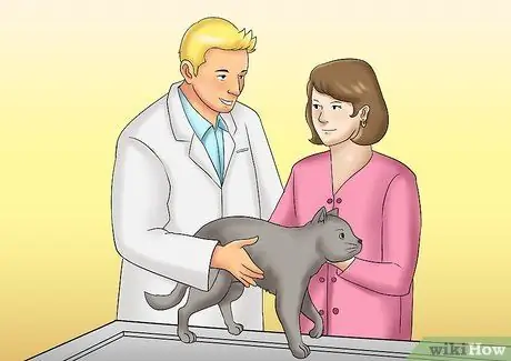 Уход за кошкой с почечной недостаточностью Шаг 9
