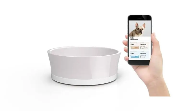 dog_bowl_obe_0718