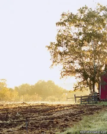 mb0607_farm9 mb0607_farm9