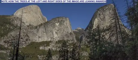 LEANING_TREES