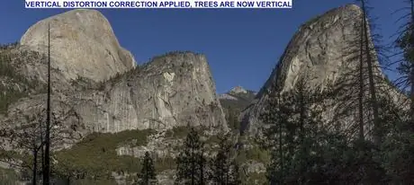 LEANING_TREES_AFTER_CORRECTION