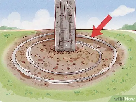 Подрезать корни Шаг 10 Подрезать корни Шаг 10
