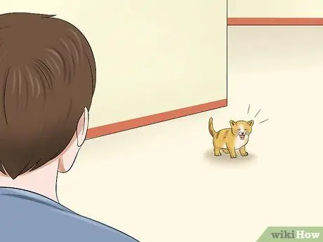 Уход за брошенным котенком Шаг 1