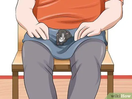 Уход за брошенным котенком Шаг 10