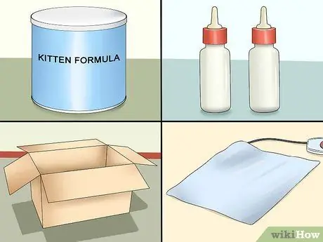 Уход за брошенным котенком Шаг 4