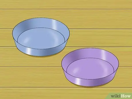 Отъем котят Шаг 3 Отъем котят Шаг 3