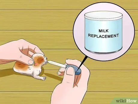 Отъем котят Шаг 5 Отъем котят Шаг 5