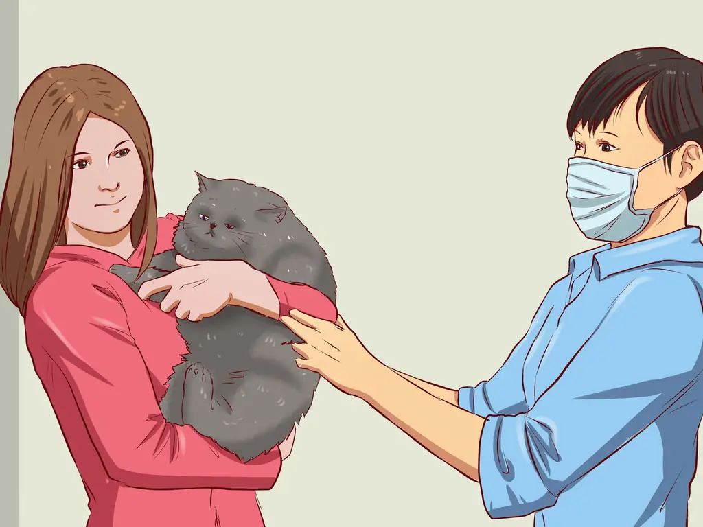 Как заставить кошку переносить купание: 11 шагов