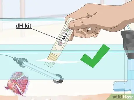 Профилактика и лечение папайи в Betta Fish Шаг 5 Профилактика и лечение папайи в Betta Fish Шаг 5