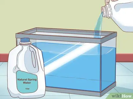 Уход за Triops Шаг 1