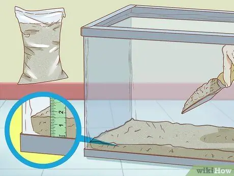 Уход за Triops Шаг 3