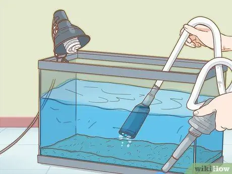 Уход за Triops Шаг 5