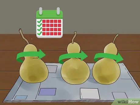 Сухие тыквы для украшения Шаг 7 Сухие тыквы для украшения Шаг 7