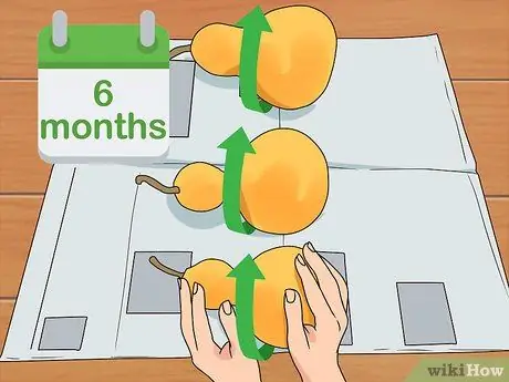 Сухие тыквы для украшения Шаг 8 Сухие тыквы для украшения Шаг 8