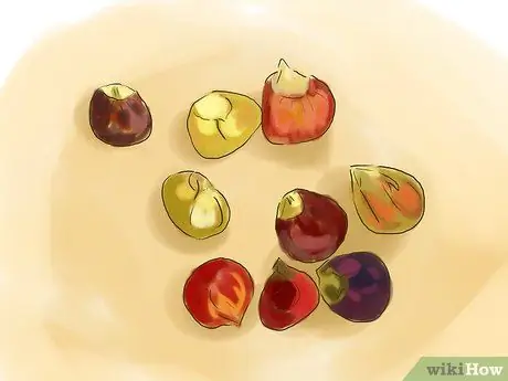 Выращивание кукурузы из семян Шаг 4