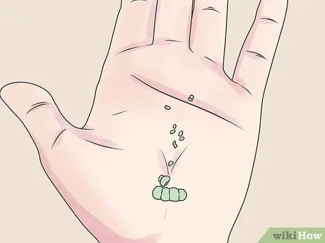 Расти нетерпеливо, шаг 2 Расти нетерпеливо, шаг 2
