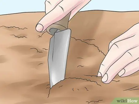 Расти нетерпеливый шаг 5 Расти нетерпеливый шаг 5