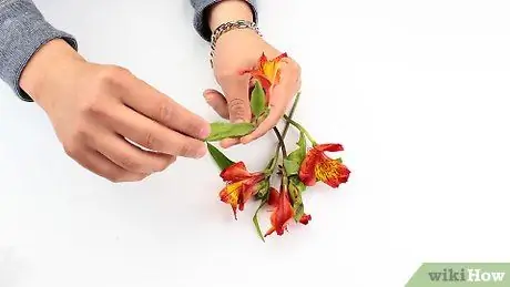 Сохранить цветы Шаг 1 Сохранить цветы Шаг 1