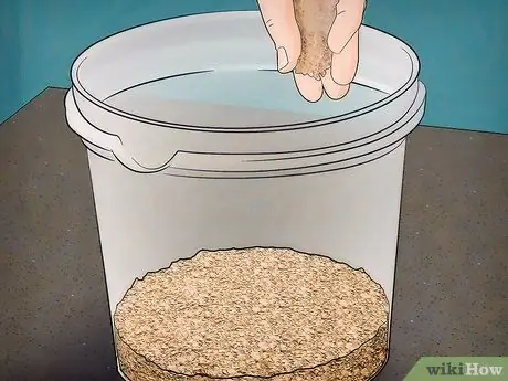 Разведение восковых червей Шаг 4