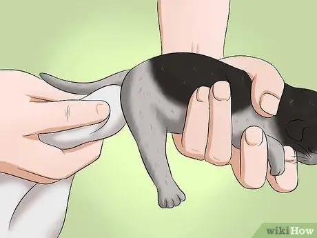 Сделать какашку для котенка Шаг 3 Сделать какашку для котенка Шаг 3