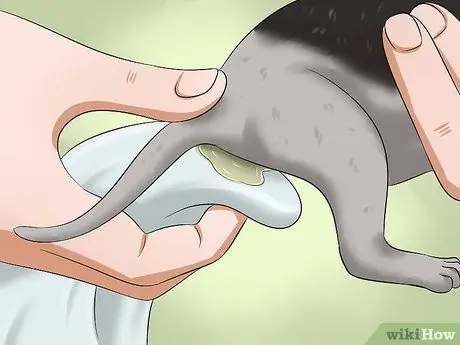 Сделать какашку для котенка Шаг 4 Сделать какашку для котенка Шаг 4
