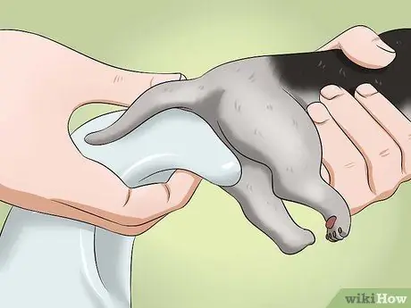 Сделать какашку для котенка Шаг 6 Сделать какашку для котенка Шаг 6