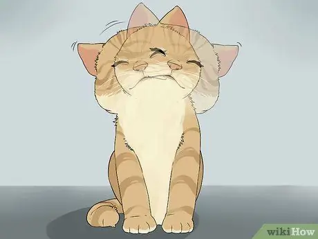 Очистите кошачьи уши, шаг 9