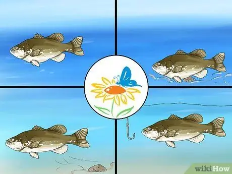 Рыба для окуня Шаг 1