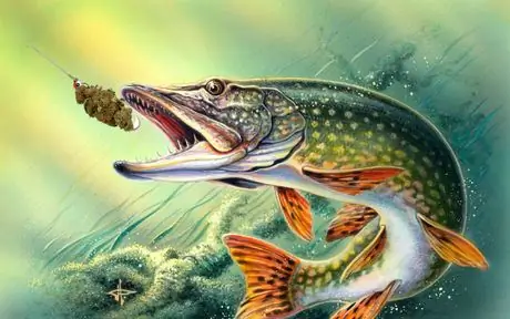 BassBait