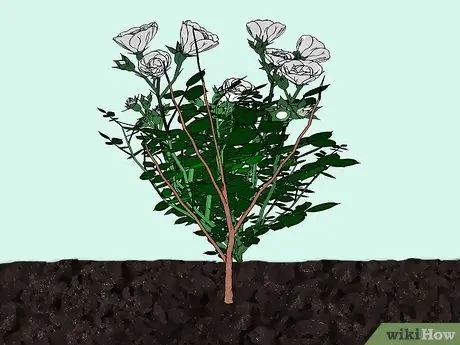 Зажечь куст или дерево Шаг 6