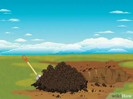 Посадить пальму Шаг 5 Посадить пальму Шаг 5