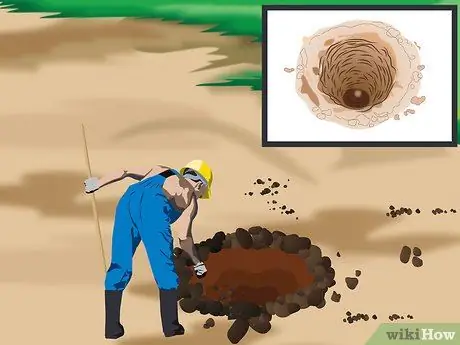 Посадить пальму Шаг 7 Посадить пальму Шаг 7