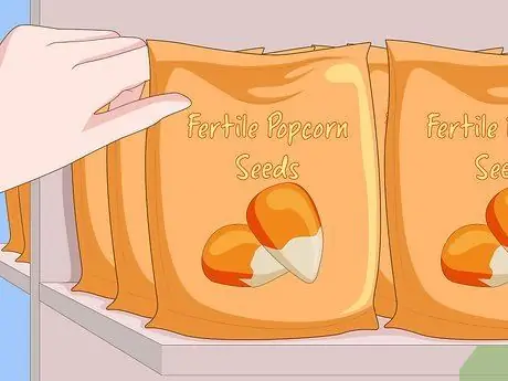 Выращивание попкорна, шаг 1 Выращивание попкорна, шаг 1