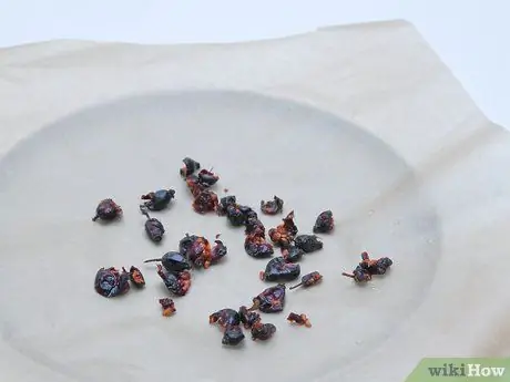Приготовить чай из шиповника Шаг 8 Приготовить чай из шиповника Шаг 8