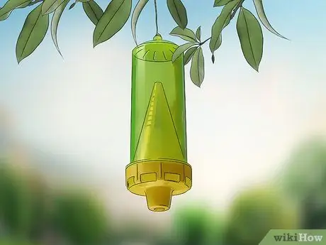 Избавиться от ос, шаг 7