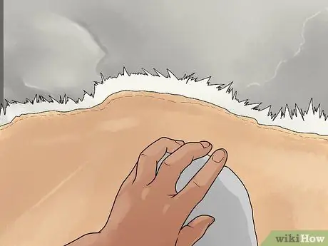 Чистый мех Шаг 10 Чистый мех Шаг 10