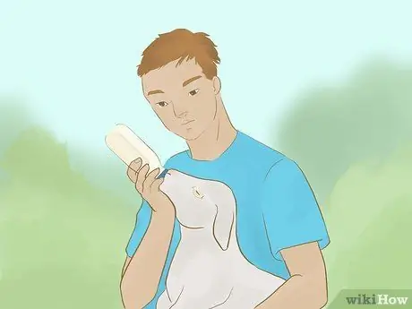 Кормление из бутылочки Goat Kids Step 7